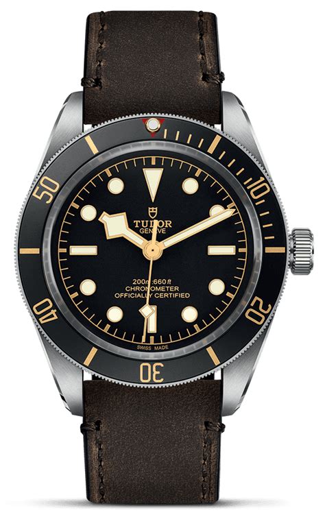 tudor black bay 58 m79030n-0002|tudor m79230n 0009.